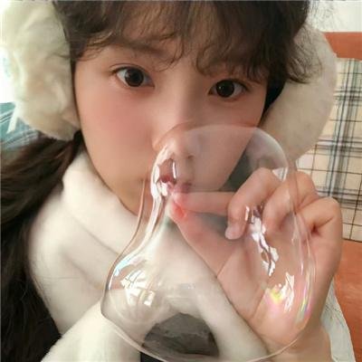 禁止入内的鼹鼠
