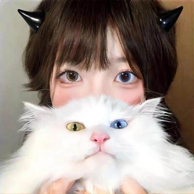 猛鬼街6国语